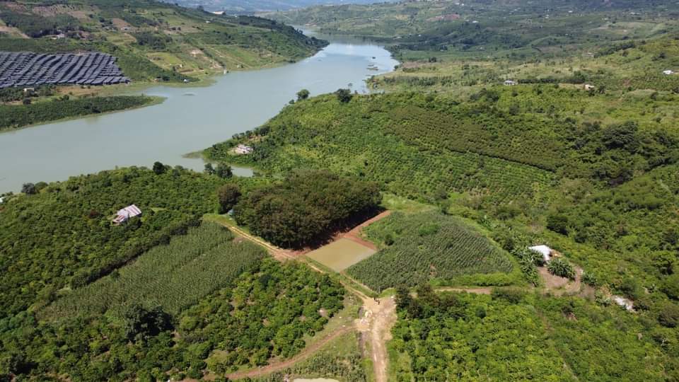 Đất nền Tây Nguyên không ngừng sốt khi nhiều tập đoàn BĐS lớn sắp sửa đầu tư hàng chục ngàn tỷ đồng