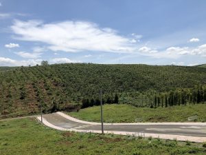 Vì sao nên đầu tư đất nền Bảo Lộc Lâm Đồng?