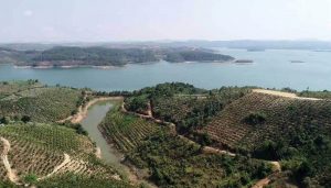 Đức Trọng đề xuất một loạt dự án quy mô lớn vào quy hoạch tỉnh Lâm Đồng