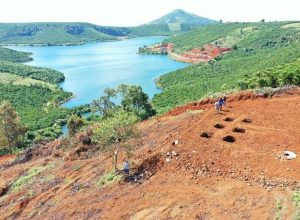 Tập đoàn Đầu tư Địa ốc Novaland được Lâm Đồng chấp thuận ý tưởng quy hoạch KĐT phức hợp 30.000ha